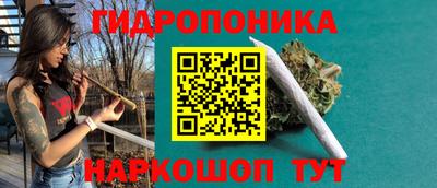 гашик Балахна