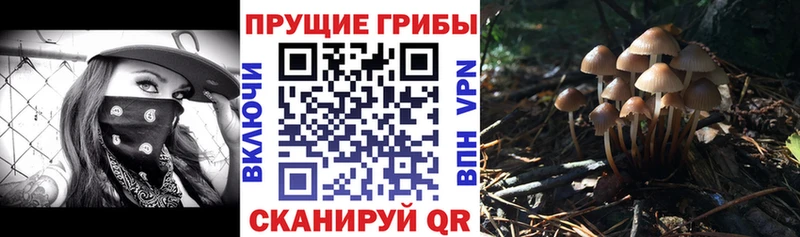 Псилоцибиновые грибы Psilocybine cubensis  блэк спрут tor  Туймазы 