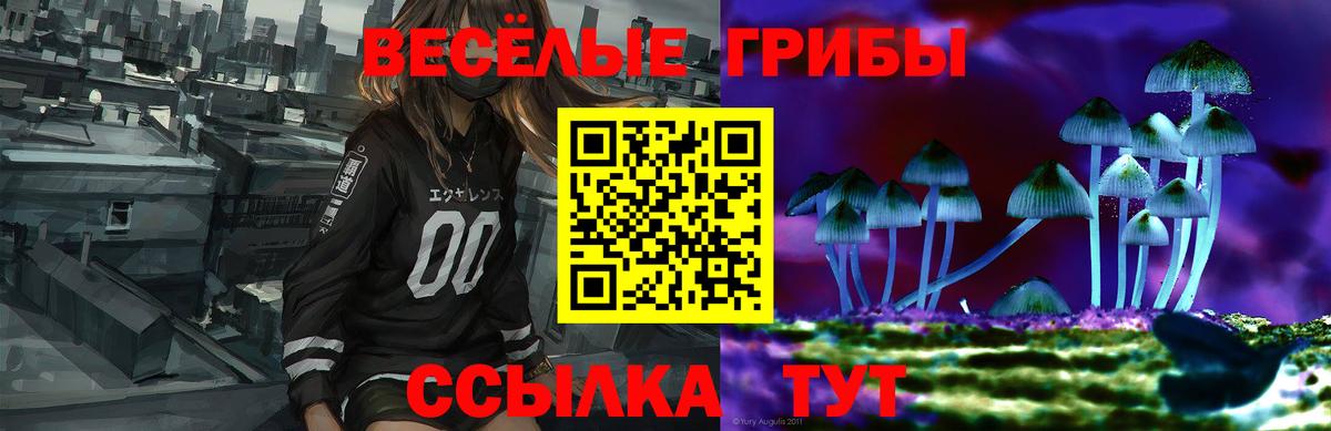 Псилоцибиновые грибы GOLDEN TEACHER  Псилоцибиновые грибы мухоморы  Вход с VPN  Туймазы 
